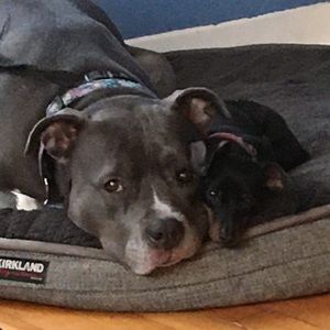 Meet your Posher, Érika